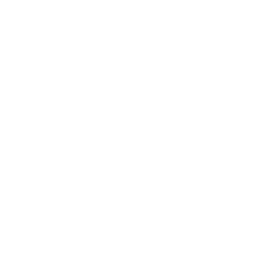Website Security Services